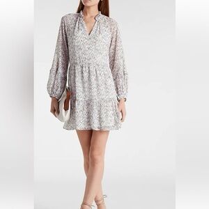 Express Animal Print Trapeze Tiered Long Sleeve Shift Dress
